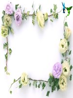 Tiet 63: Tong ket tu vung