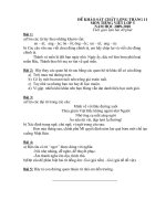 ĐỀ TV, TOÁN 4-5 THÁNG 11