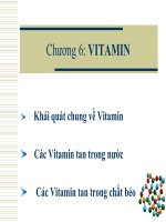 Chương 6: VITAMIN