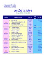 Lịch công tác tuần 10 (25->31/10/2010)