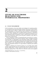 35768 Study of Electrode Reactions and Interfacial Properties