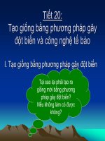 Tiết 20: Tạo giống bằng phương pháp gây đột biến và công nghệ tế bào