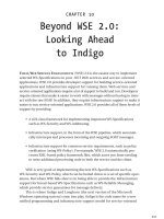 Beyond WSE 2.0 - Looking Ahead to Indigo