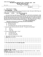 De KT Toan va TV giua ky 1 lop 2/10 - 11