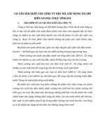 CƠ CẤU SẢN XUẤT CỦA CÔNG TY VẬN TẢI