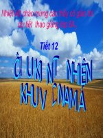 Điều kiện tự nhiên khu vực nam á.