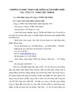 CHƯƠNG II THỰC TRẠNG HỆ THỐNG KÊNH PHÂN PHỐI CỦA  CÔNG TY  TNHH VIỆT THÀNH