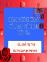 hình nền PP
