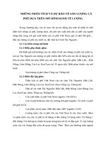 NHỮNG PHÂN TÍCH VÀ DỰ BÁO VỀ SẢN LƯỢNG CÀ PHÊ DỰA TRÊN MÔ HÌNH KINH TẾ LƯỢNG