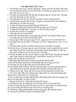 Câu hỏi ngữ văn 9