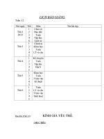 Giao an tuan 12-Chuan KTMT