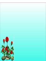 Bài 2. Tập hợp các số nguyên