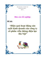 Luận văn tốt nghiệp “Hiệu quả hoạt động sản xuất kinh doanh của công ty cổ phần viễn thông điện lực Hà Nội”