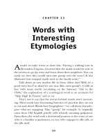 Words with Interesting Etymologies