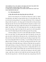 TÁC ĐỘNG CỦA CÁC RÀO CẢN HOA KỲ ĐẶT RA ĐỐI VỚI XUẤT KHẨU HÀNG DỆT MAY VIỆT NAM