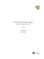 Win32.Worm.Downadup - Conficker