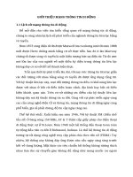 GIỚI THIỆU MẠNG THÔNG TIN DI ĐỘNG