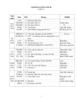 GAL2-T11-CKT+BVMT+GDKNS+...