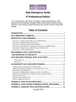 Data Emergency Guide IT Professional Edition