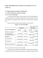 PHÂN TÍCH HIỆU QUẢ SỬ DỤNG CÁC NGUỒN LỰC CỦA CÔNG TY