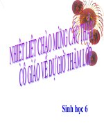 Thân To Ra Do Đâu