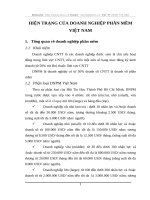 HIỆN TRẠNG CỦA DOANH NGHIỆP PHẦN MỀM VIỆT NAM
