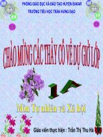 tự nhiên và xã hội gia đình