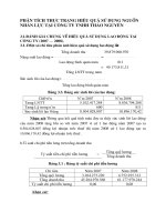 PHÂN TÍCH THỰC TRẠNG HIỆU QUẢ SỬ DỤNG NGUỒN NHÂN LỰC TẠI CÔNG TY TNHH THẢO NGUYÊN