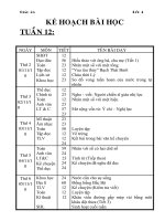 giao an tuan 12-17 CKT-KNS-TTHCM-BVMT