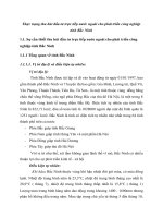 Thực trạng thu hút đầu tư trực tiếp nước ngoài cho phát triển công nghiệp tỉnh Bắc Ninh