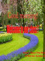 unit 7 lớp2 reading cực hay