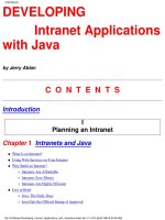 DEVELOPING Intranet Applications with Java