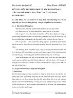 KẾ TOÁN TIÊU THỤ HÀNG HOÁ VÀ XÁC ĐỊNH KẾT QUẢ TIÊU THỤ HÀNG HOÁ TẠI CÔNG TY CỔ PHẦN GAS PETROLIMEX