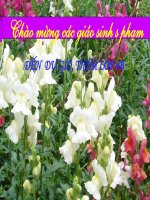 KHOA HOC 4 - TUAN 7 -PHONG BENH BEO PHI