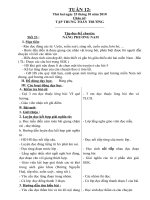 TUAN 12-LOP3(CKTKN)
