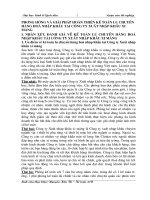 PHƯƠNG HƯỚNG VÀ GIẢI PHÁP HOÀN THIỆN KẾ TOÁN LƯU CHUYỂN HÀNG HOÁ NHẬP KHẨU TẠI CÔNG TY XUẤT NHẬP KHẨU XI MĂNG