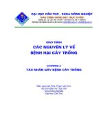 Tác nhân gây bệnh cây trồng