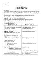 tuần 12 lop 3(KNS)