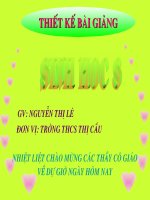 Hấp thụ chất dinh dưỡng và thải phân