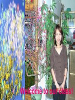 Unit 8. reading (thi GVG)