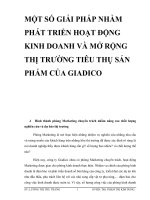 MỘT SỐ GIẢI PHÁP NHẰM PHÁT TRIỂN HOẠT ĐỘNG KINH DOANH VÀ MỞ RỘNG THỊ TRƯỜNG TIÊU THỤ SẢN PHẨM CỦA GIADICO