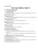 ôn Tiếng Việt 9 HKI
