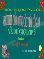 Tđ: Về quê ngoại