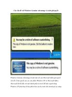 Các vấn đề với Windows Genuine Advantage và cách giải quyết