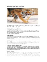 Hổ trong ngôn ngữ Việt