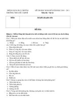 Đề thi HSG môn Vật Lí