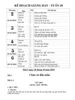 giáo an tuần 10 - lớp 3. CKTKN(các môn)