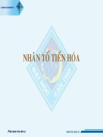 NHÂN TỐ TIẾN HÓA