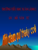 Tập làm văn: LUYỆN TẬP THUYẾT TRÌNH, TRANH LUẬN