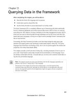 Querying Data in the Framework